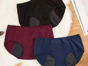 Women's Menstrual High Flow Panties
